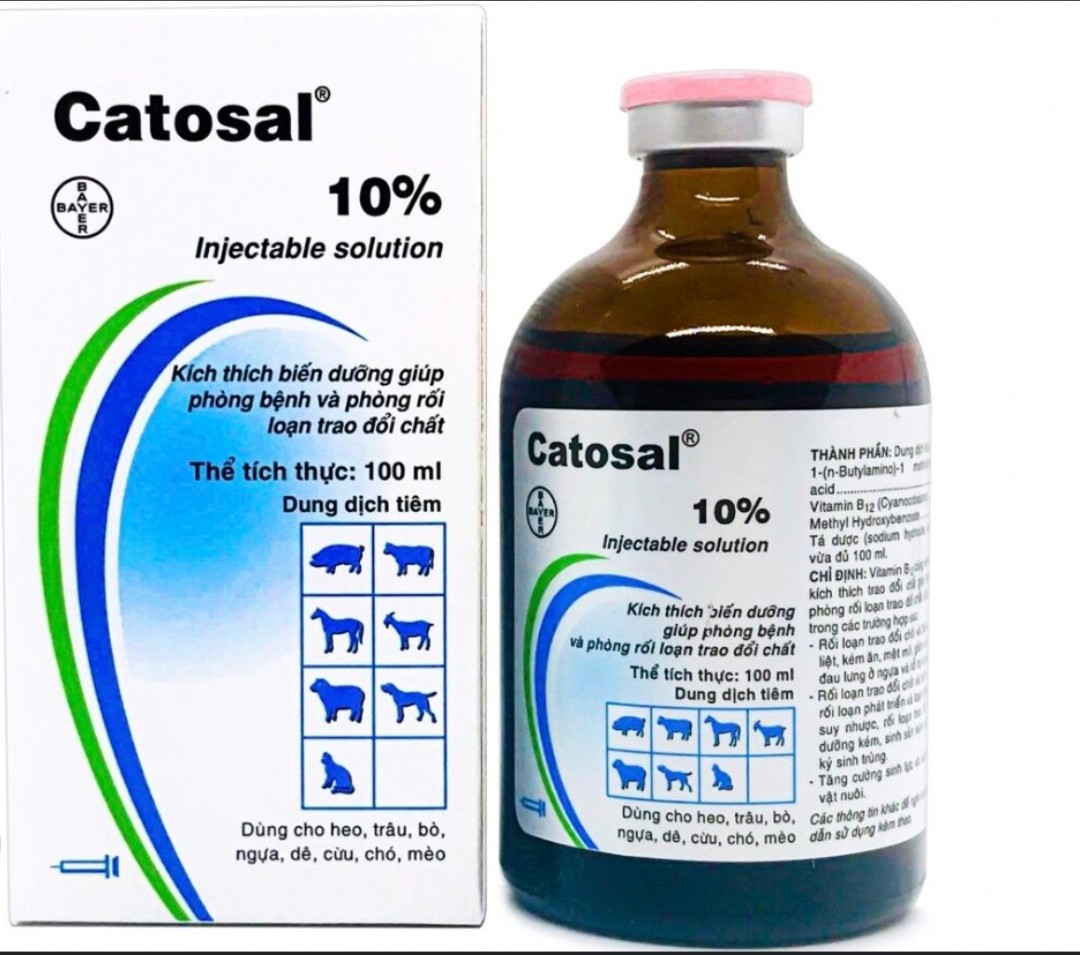 Catosal 10% 100ml - tăng lực nhanh, bồi bổ cơ thể cho vật nuôi