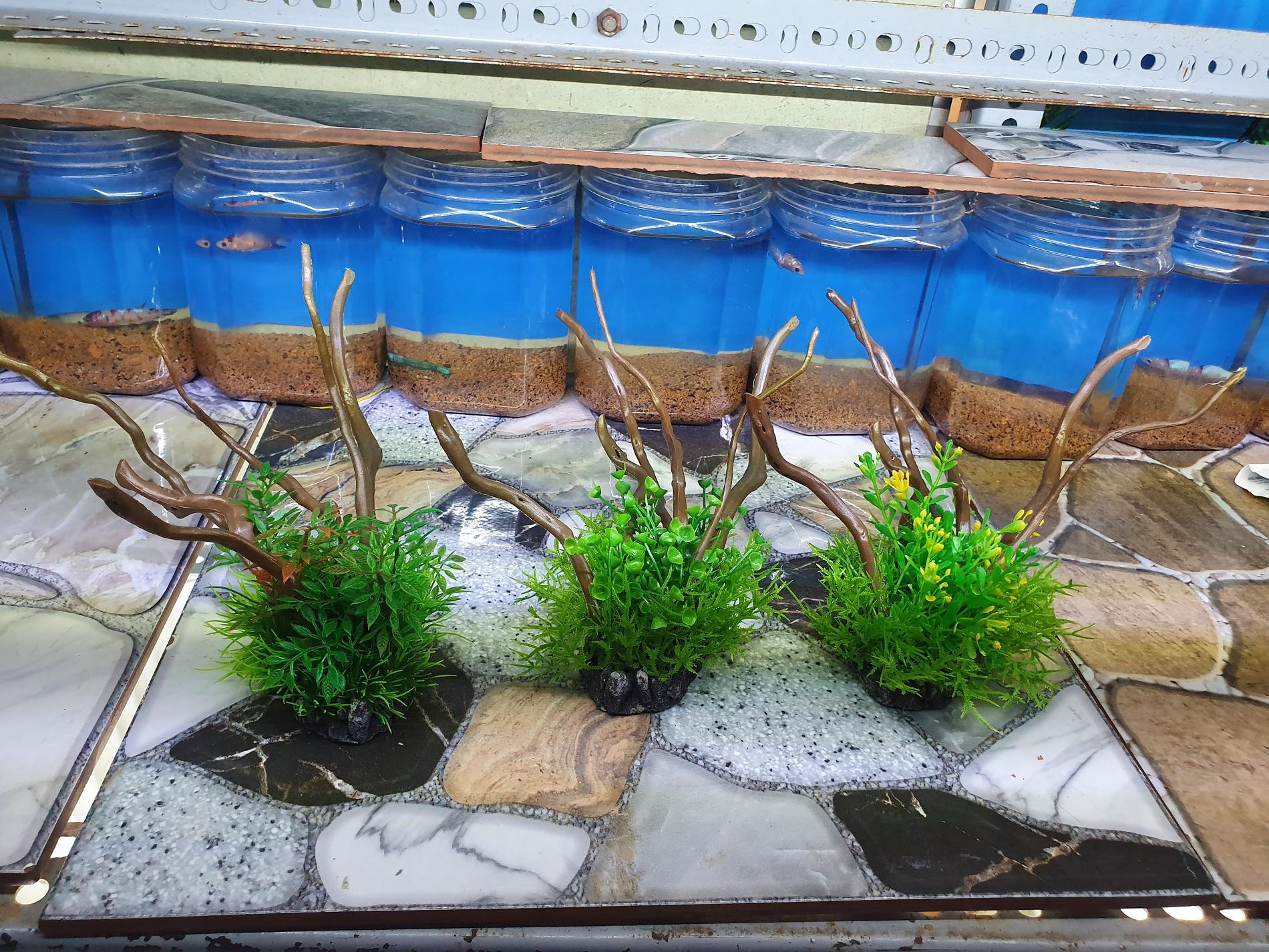 "Hoàn tiền đến 10%" GỐC CÂY LỦA GIẢ TRANG TRÍ HỒ CÁ NON BỘ DÀI CAO 15CM ĐƯỜNG KÍNH ĐẾ 8CM