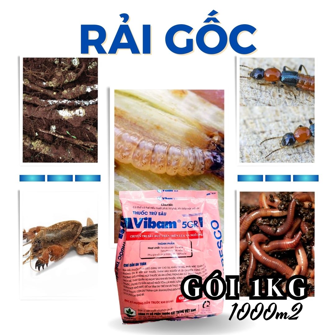 Vibam 5gr gói 1kg rải gốc phòng ngừa kiến, sâu đục thân, sâu đục bẹ, giun, dế nhũi, bọ hà khoai lang