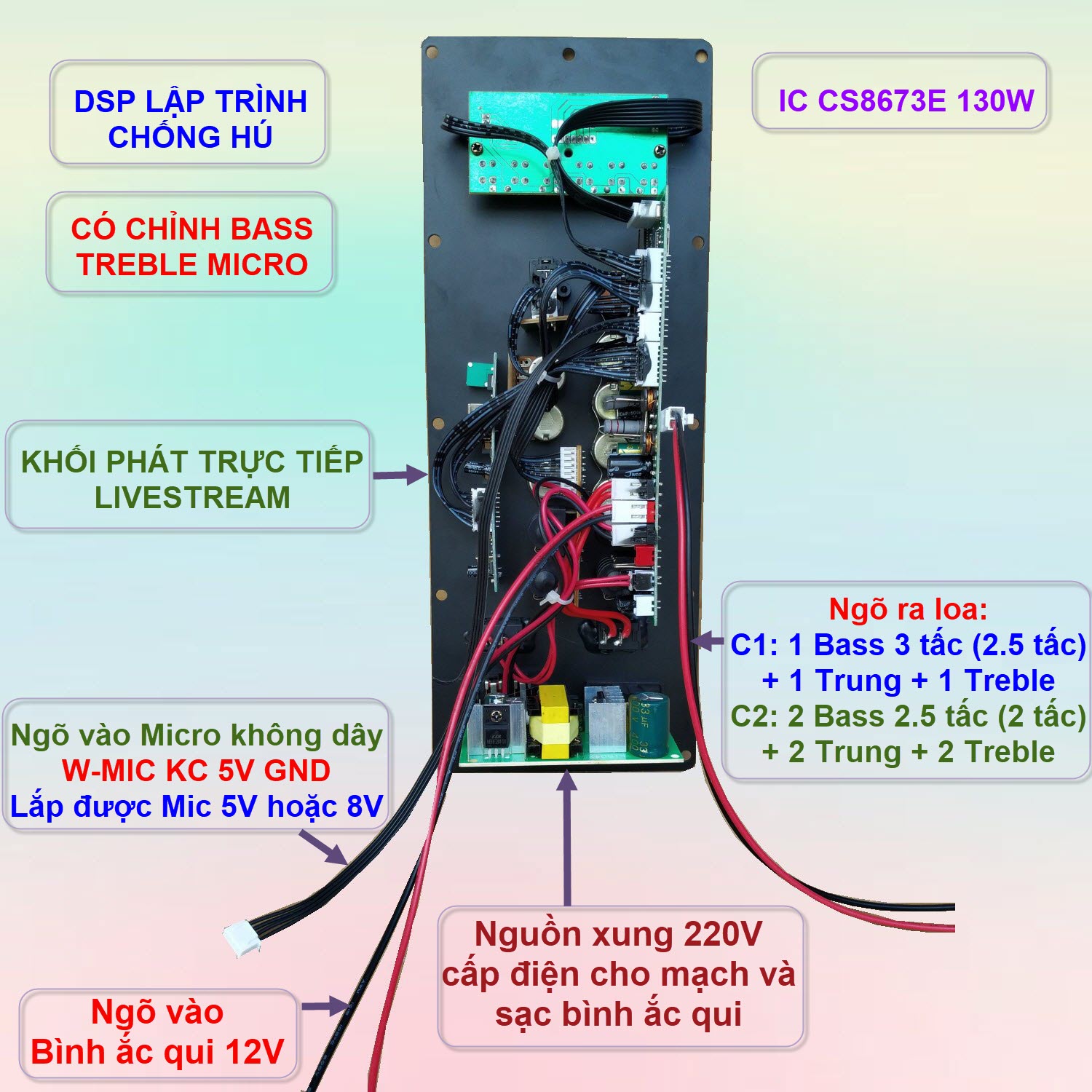 Mạch loa kéo LIVESTREAM DSP lập trình chống hú IC CS8676 công suất 60W –