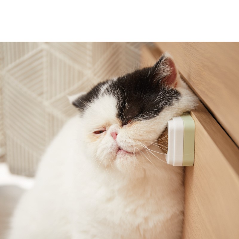 Cỏ catnip dạng viên gắn lên tường cho mèo chơi
