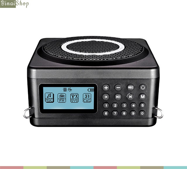 Takstar E260W