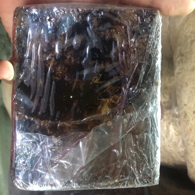 Cốt sâm bí đao -cao bí đao 500gram ảnh thật shop chụp