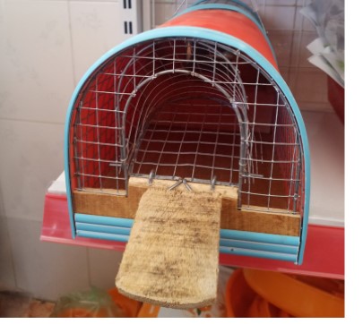 Bẫy chuột thông minh loại vừa tặng kèm mồi bẫy chuột siêu nhạy