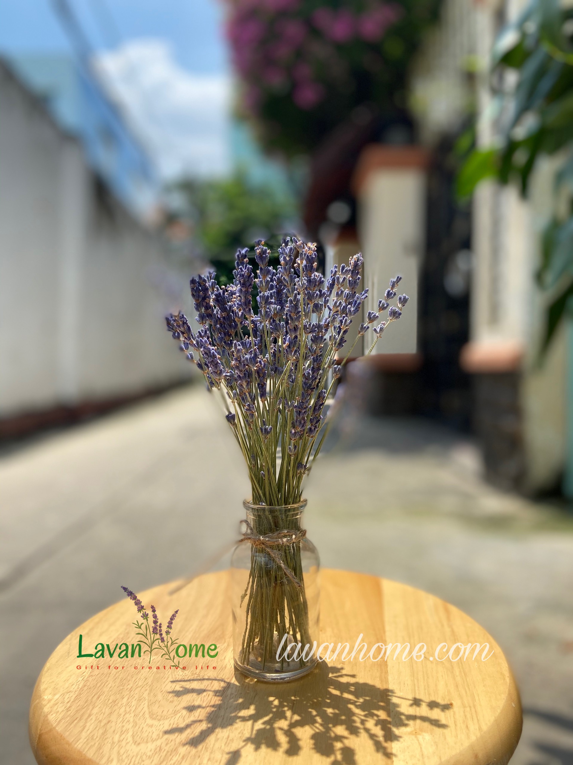 Hoa khô lavender (hoa oải hương) Pháp (nhiều cành) | Lazada.vn