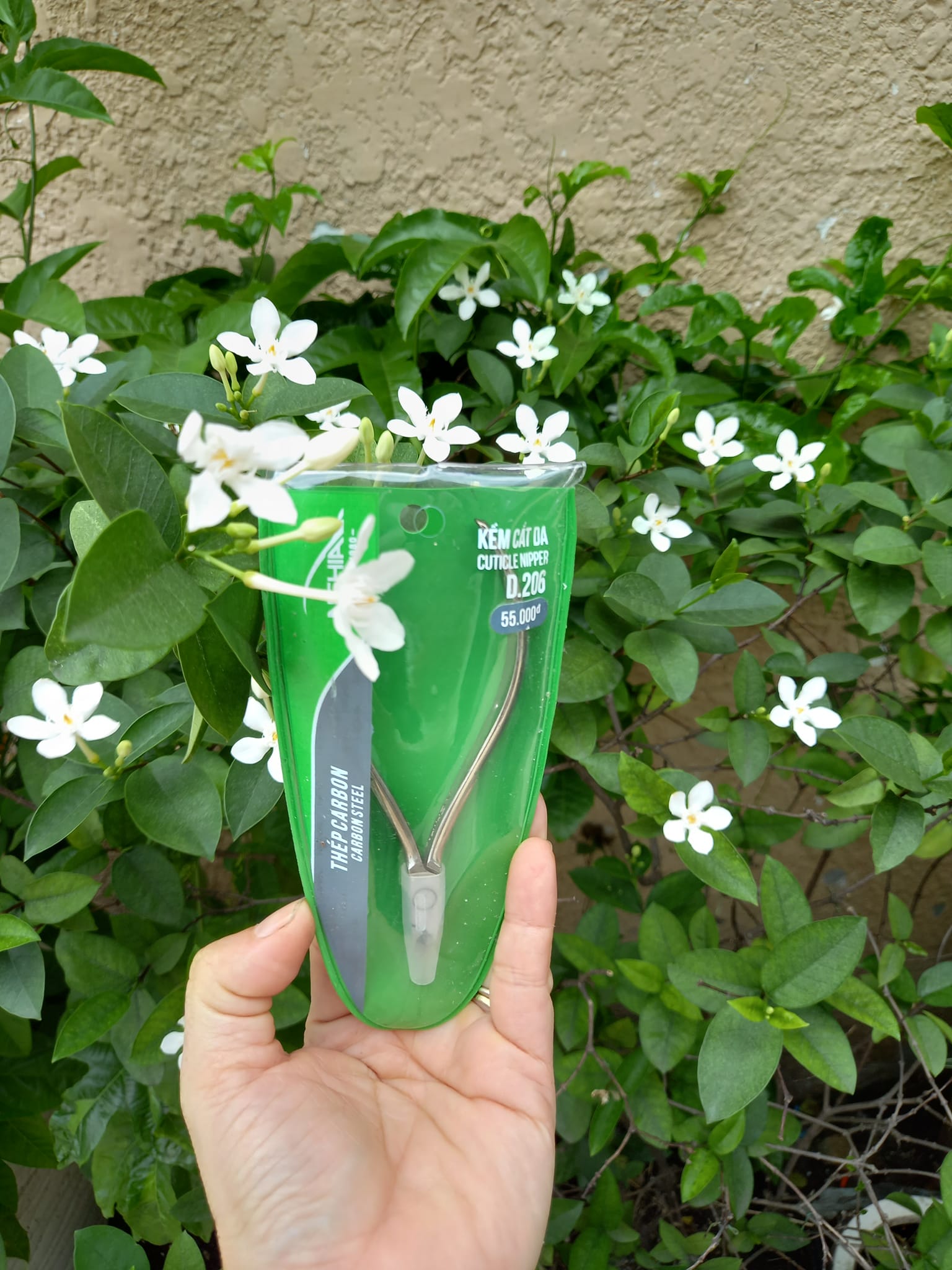 Combo 1 cây kềm cắt da Nghĩa D. 205 + 1 cây dũa sắt mài sẵn + 1 cây dũa giấy