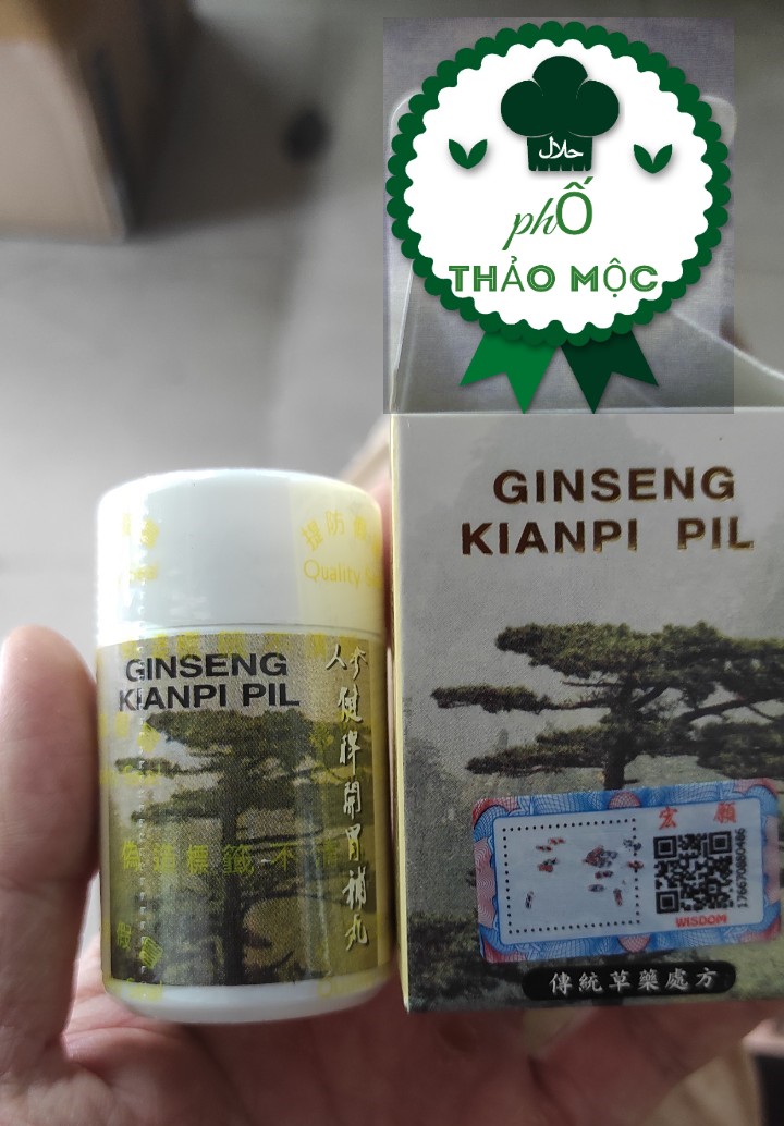Nhân Sâm Kiện Tỳ Khai Vị Bổ Hoàn Chiếu Xịn Ginseng Kianpi Pil