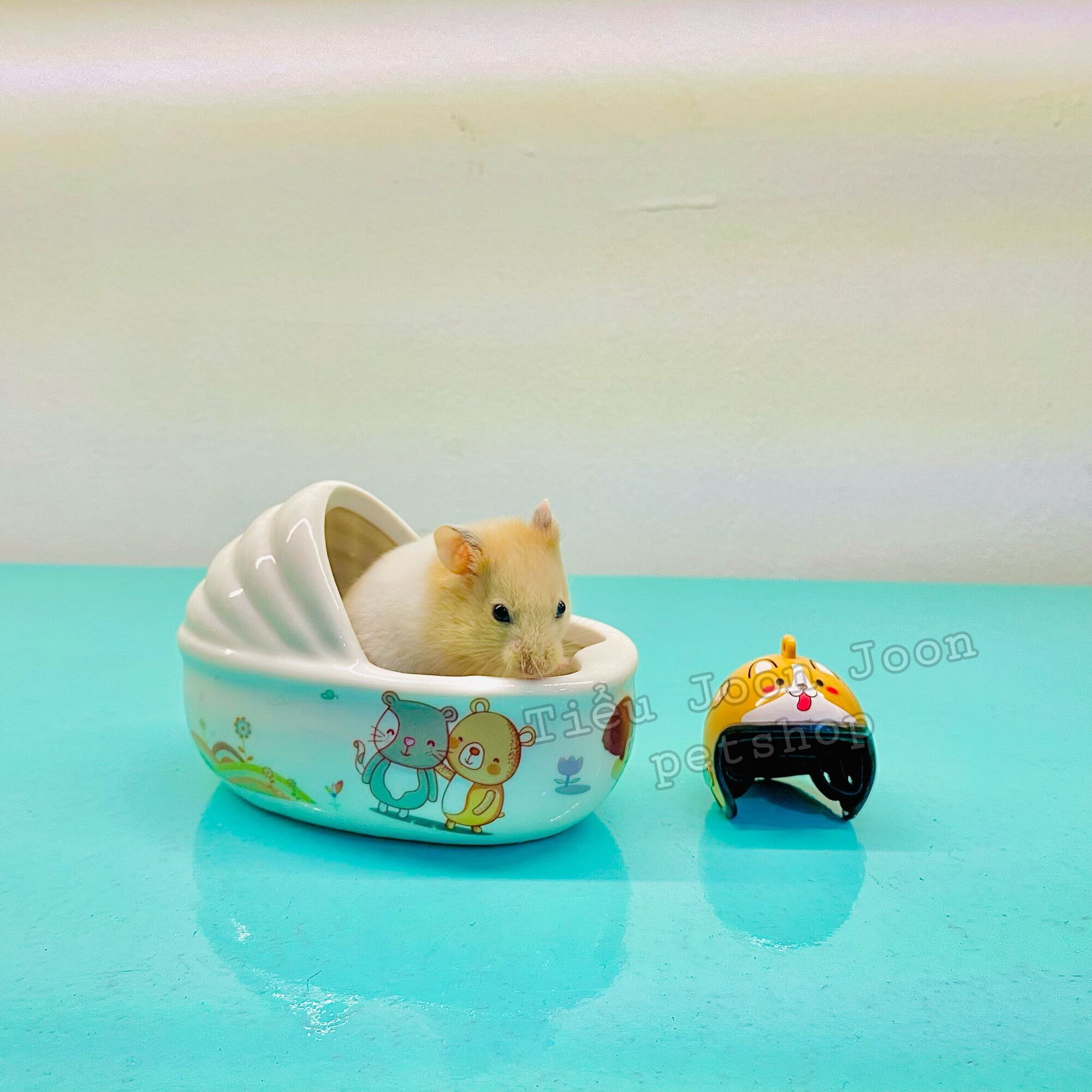 Nhà tắm & ngủ hamster 𝐜𝐡𝐢𝐞̂́𝐜 𝐧𝐨̂𝐢 𝐬𝐮̛́ 🐹