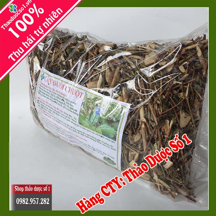 Cây đuôi chuột (1kg khô) - Hàng CTY Thaoduocso1