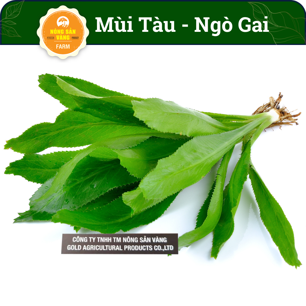 Hạt giống Rau Mùi Tàu (Ngò Gai) Tỉ Lệ Nảy Mầm Cao, Sinh Trưởng Và Phát Triển Khỏe, Năng Suất Cao (Gói 5 Gram) - Nông Sản Vàng