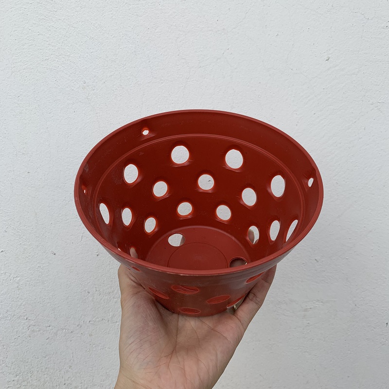 5 Chậu nhựa trồng lan giả gốm 17cm