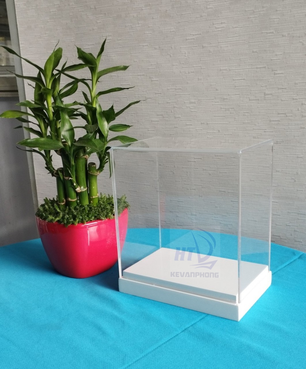 Hộp mica trưng bày đế gỗ