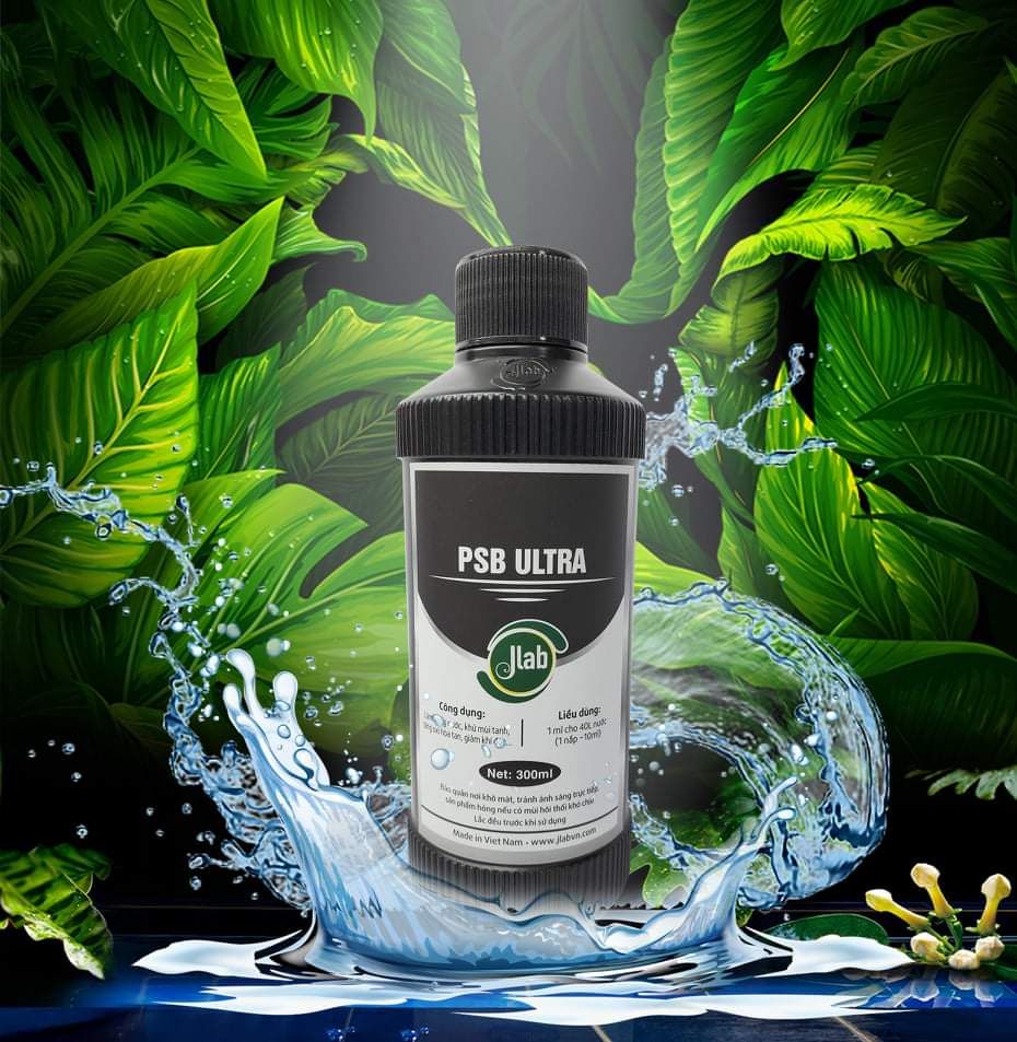 Vi sinh quang hợp của Jlab 300ml