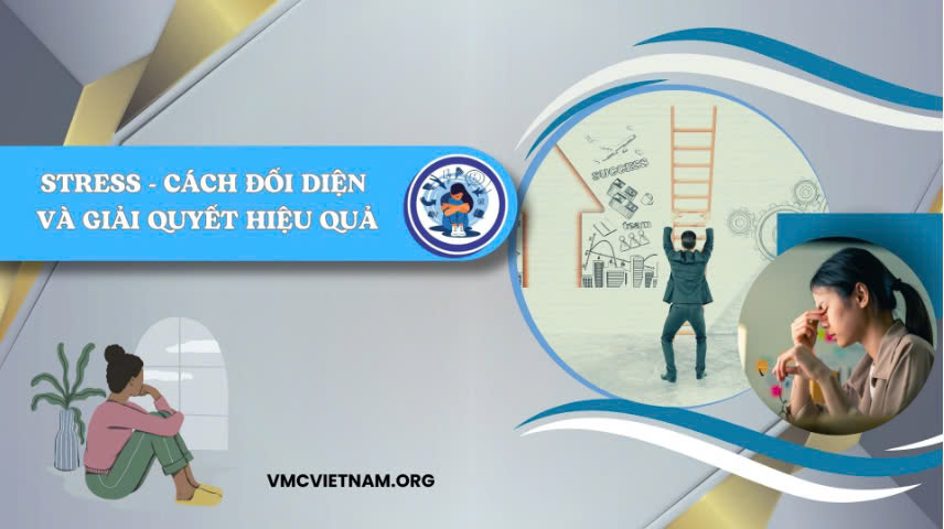 Stress - Cách đối diện và giải quyết hiệu quả - Khóa học online Giá 600,000 Đồng*Miễn phí vận chuyển