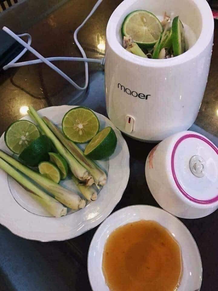 Máy xông mặt hoa quả maoer
