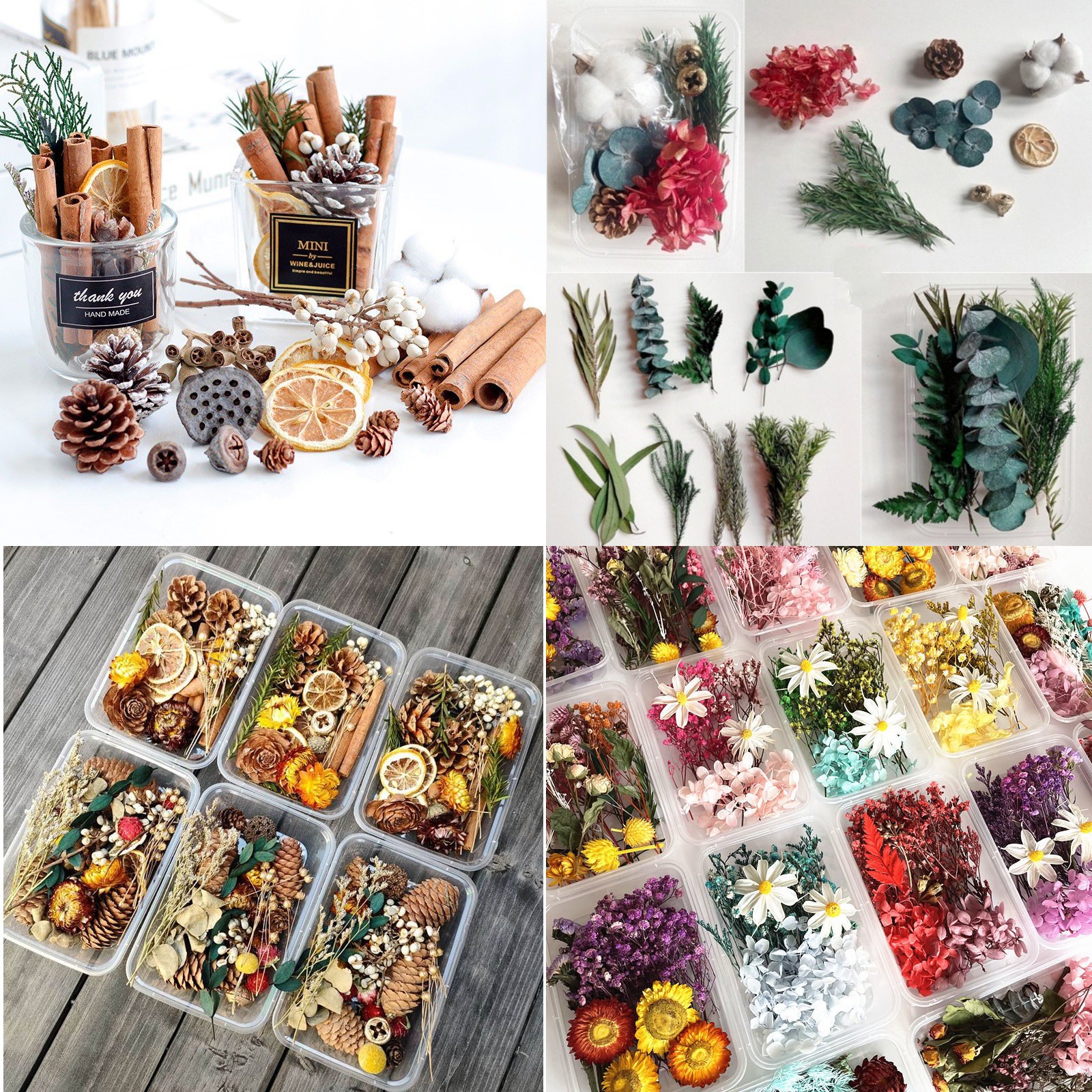 Hộp hoa khô trang trí mix nhiều loại, lá thơm, hạt thông phụ kiện decor, làm đồ handmade, phụ kiện chụp ảnh, sáp thơm hương tự nhiên