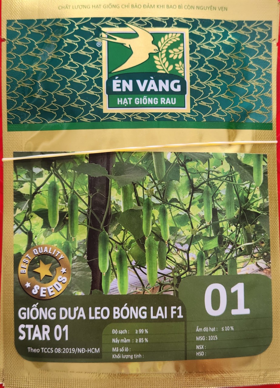 [FREESHIP MAX] Dưa leo lai F1 Én Vàng gói 25 hạt _  trái to suôn dài, năng suất vượt trội  MCT1 | Minh Châu Farm