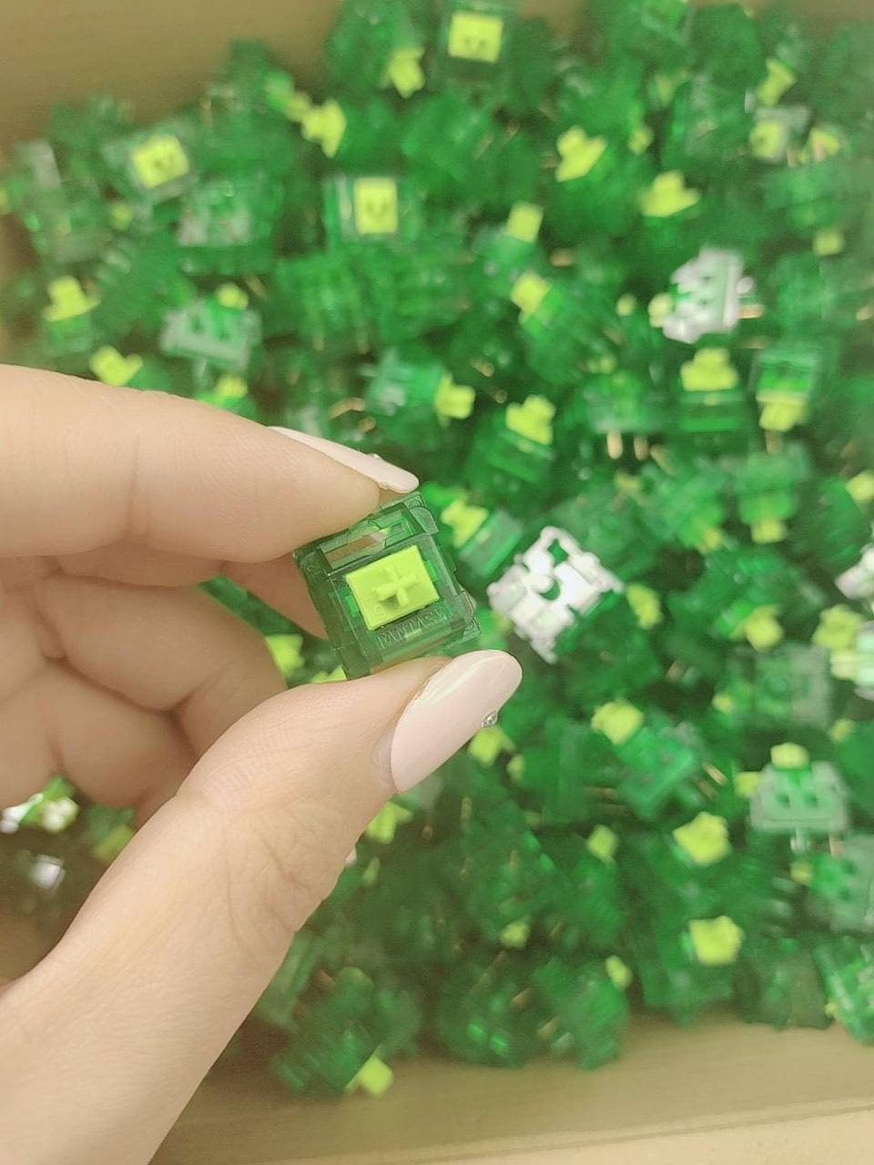 Công tắc bàn phím cơ Fantasy Virus