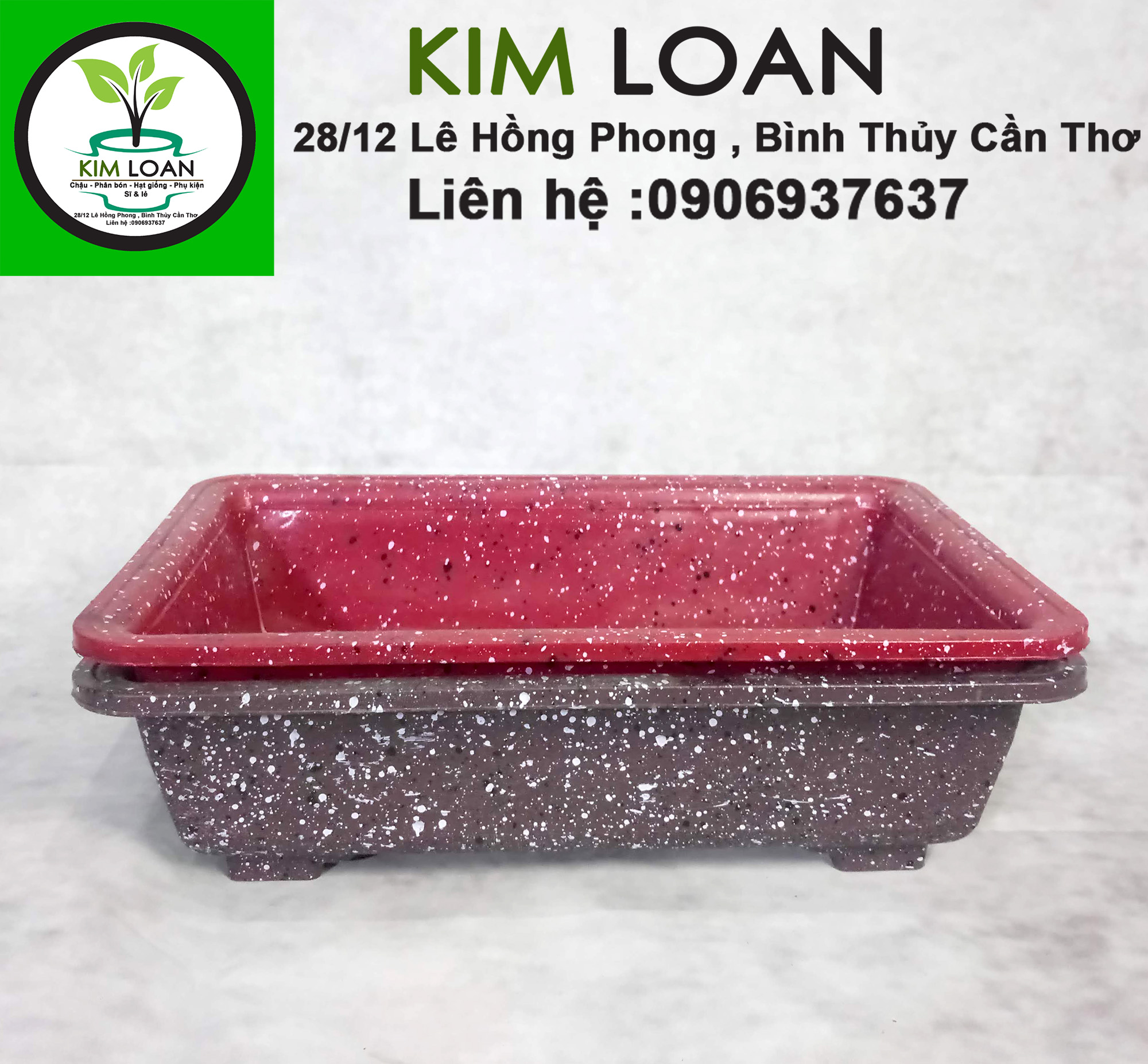 Combo 4 chậu nhựa bonsai chữ nhật vân đá 30x20x8cm