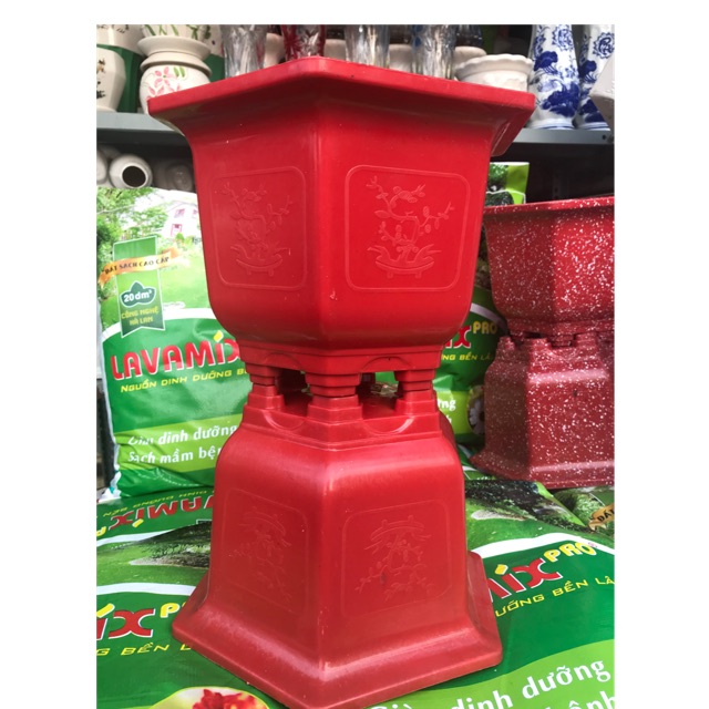 Chậu Nhựa Lục Giác