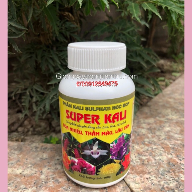 Super kali – hoa nhiều - thắm màu -lâu tàn hộp 100gr