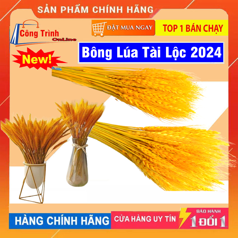 Bông lúa mạch trang trí, bông lúa vàng tài lộc, bó lúa mạch bông lúa vàng sấy khô cắm bình hoa tết 2024 nbh công trình online