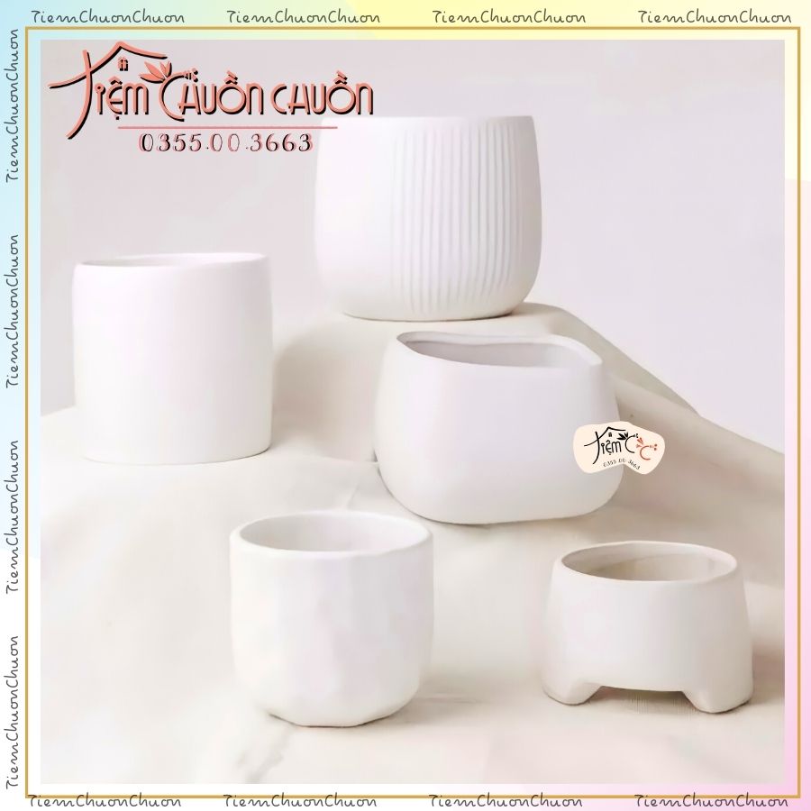 Chậu sứ trắng trồng cây cảnh - chậu cây đẹp trồng cây sen đá - tiệm chuồn chuồn - tiemchuonchuon - chậu sứ bát tràng