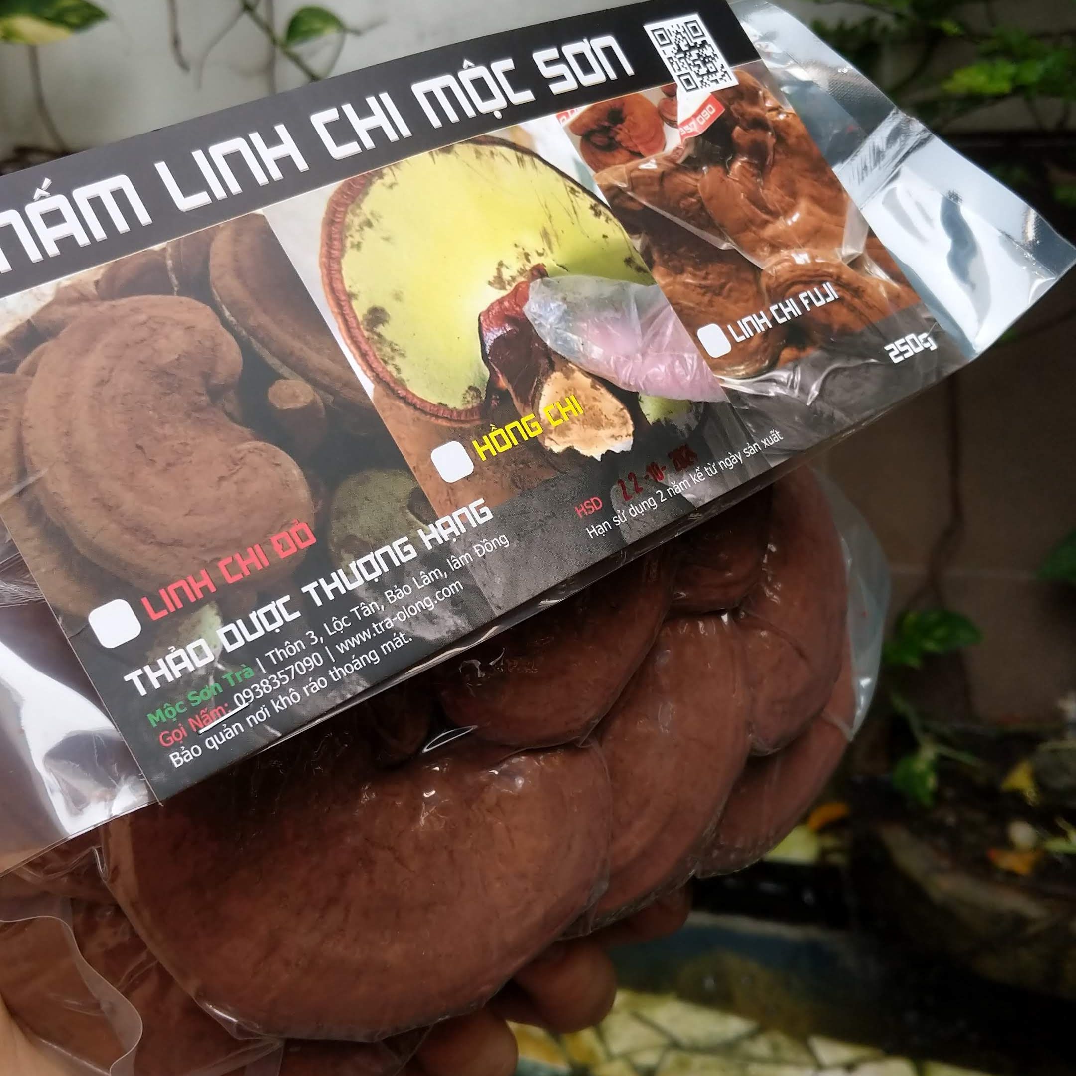 [Hoàn Tiền 10%][HCM]250g Nấm Linh Chi Đỏ Cao Cấp Mộc Sơn Còn Nguyên Bào Tử