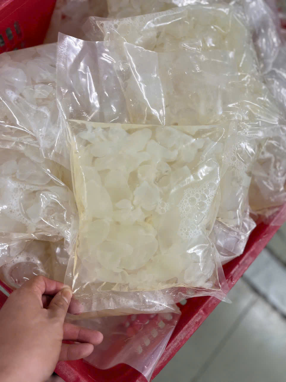 Sứa Thạch còn gọi Sứa Óc - bịch 500gr luôn nước 1kg (giao hỏa tốc)