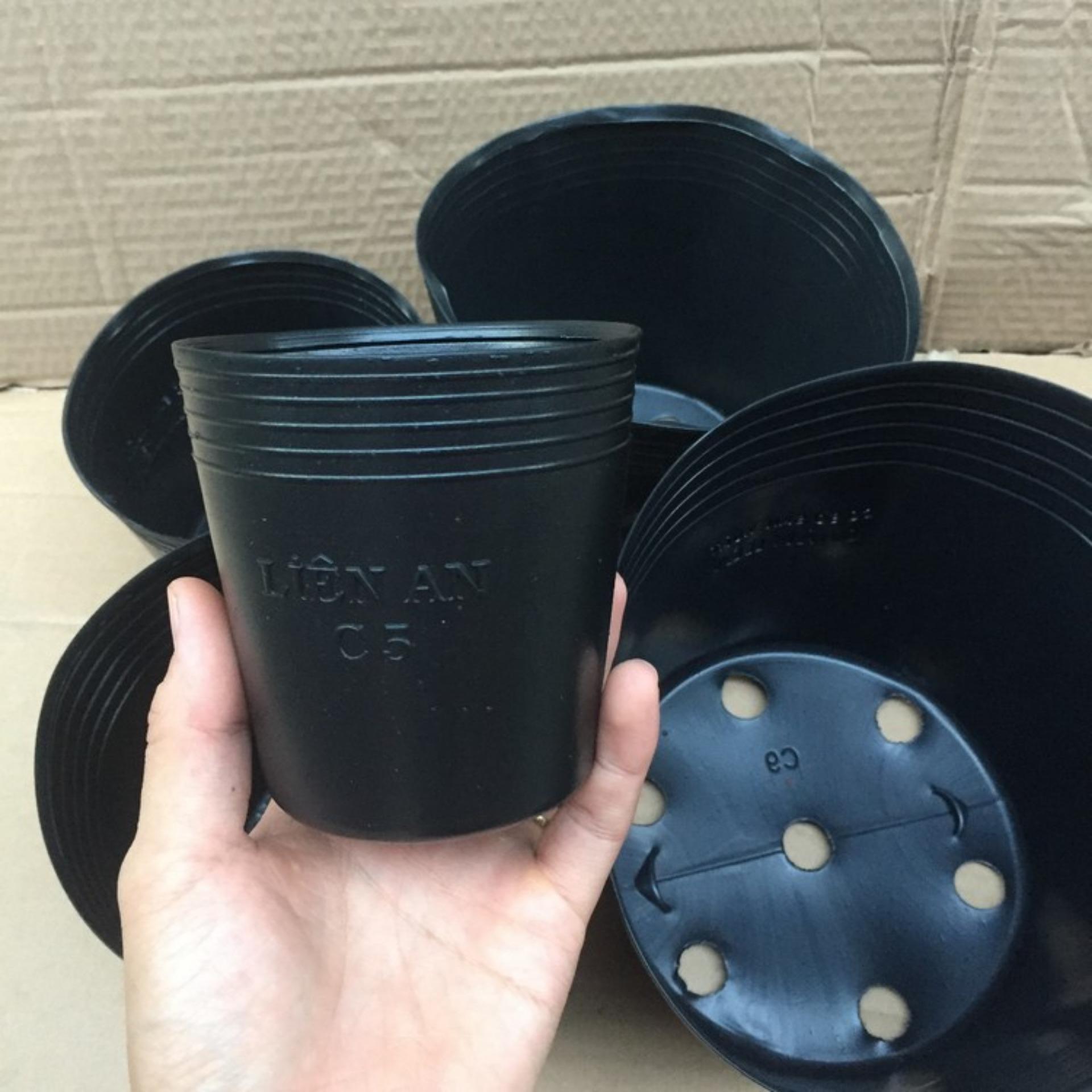 Bộ 25 Chậu trồng Hoa, Cây cảnh C10 (24x18cm)