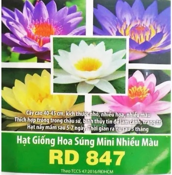 Hạt giống hoa RĐ hoa sung mini nhiều màu-847-38k