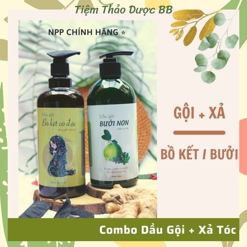 Combo dầu gội bồ kết / bưởi 500ml & dầu xả 300ml cô đặc giảm gàu, nấm, rụng tóc handmade 100% thiên nhiên org