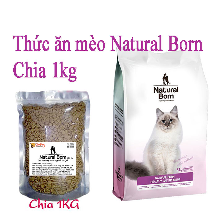 Thức ăn Mèo Natural Born Healthy Cat Premium - Petshop CutePets