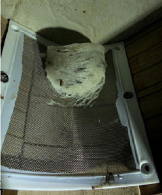 [HCM] Góc lưới inox viền nhựa nhà yến