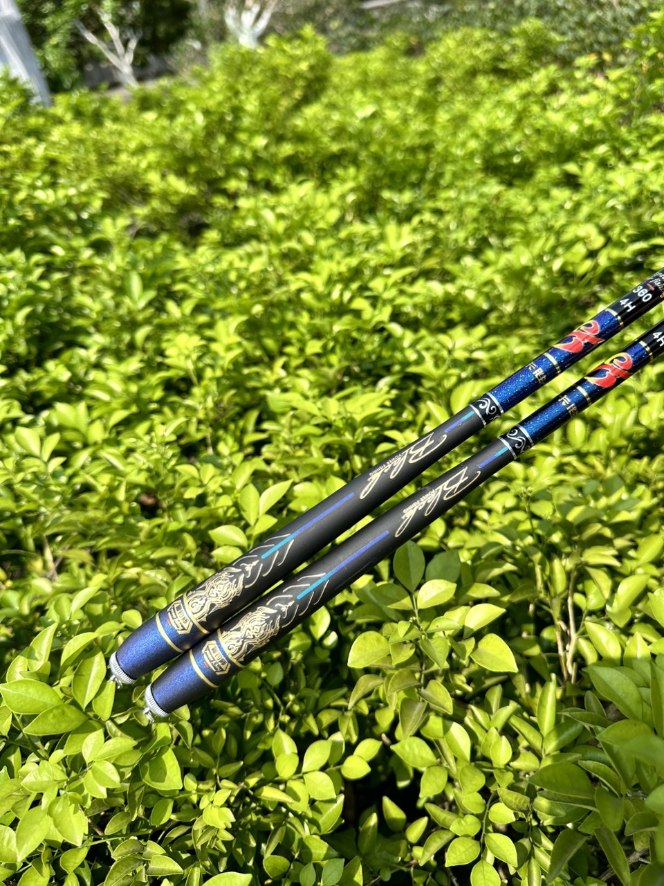 Cần câu tay Hắc Điếu Sư 4H -28i tặng kèm ngọn + phao trục giá rẻ - Cần câu tay 4H -Cần câu tay câu đơn 4h chuyên rô diếc