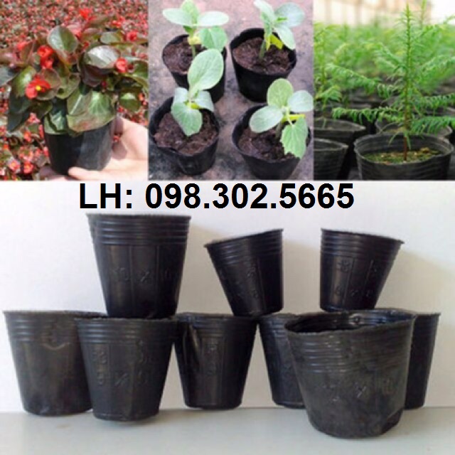 1 kg túi bầu ươm cây nhựa dẻo 13x12