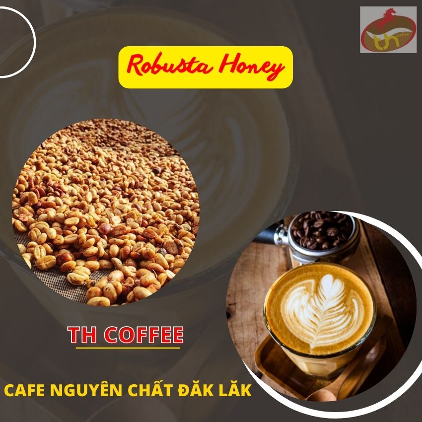 Cà phê sạch nguyên chất - robusta honey rang mộc nguyên hạt - tại đăk lăk - túi 500gr