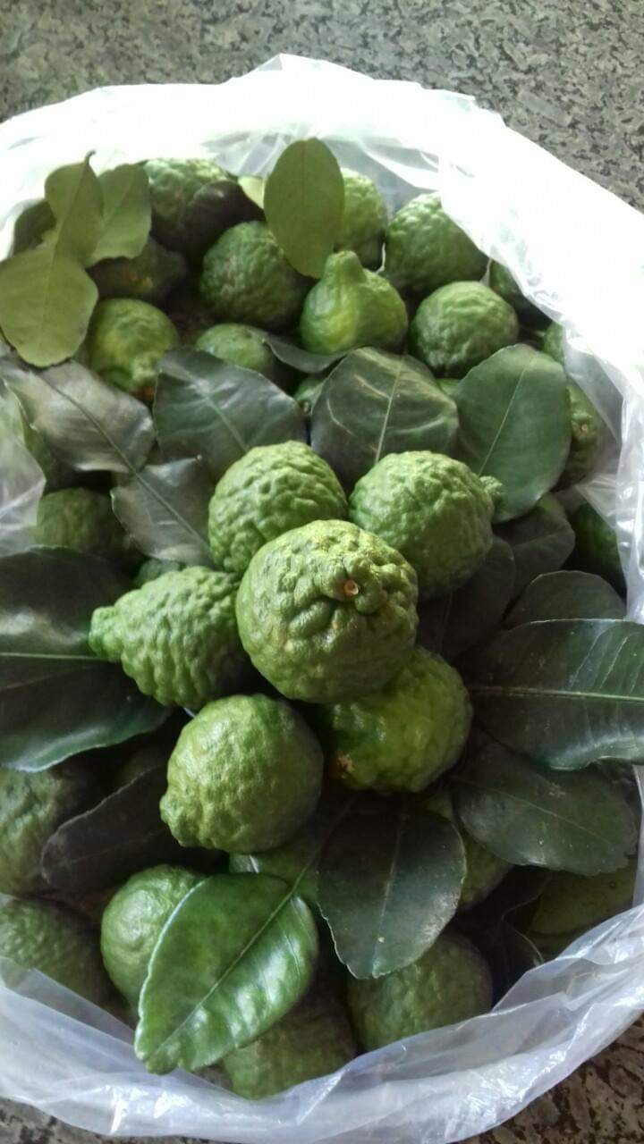 trái chúc (chanh thái)