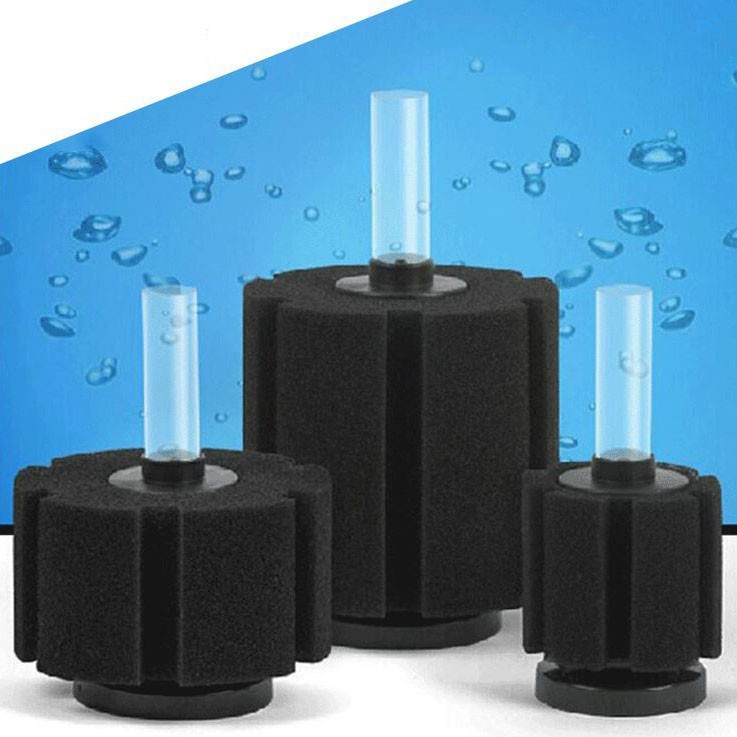 Lọc sủi vi sinh bio xy180 xy280 xy380 cho hồ cá cảnh - guppy xanh xy280 cam kết hàng đúng mô tả chất lượng đảm bảo an toàn đến sức khỏe người sử dụng đa dạng mẫu mã