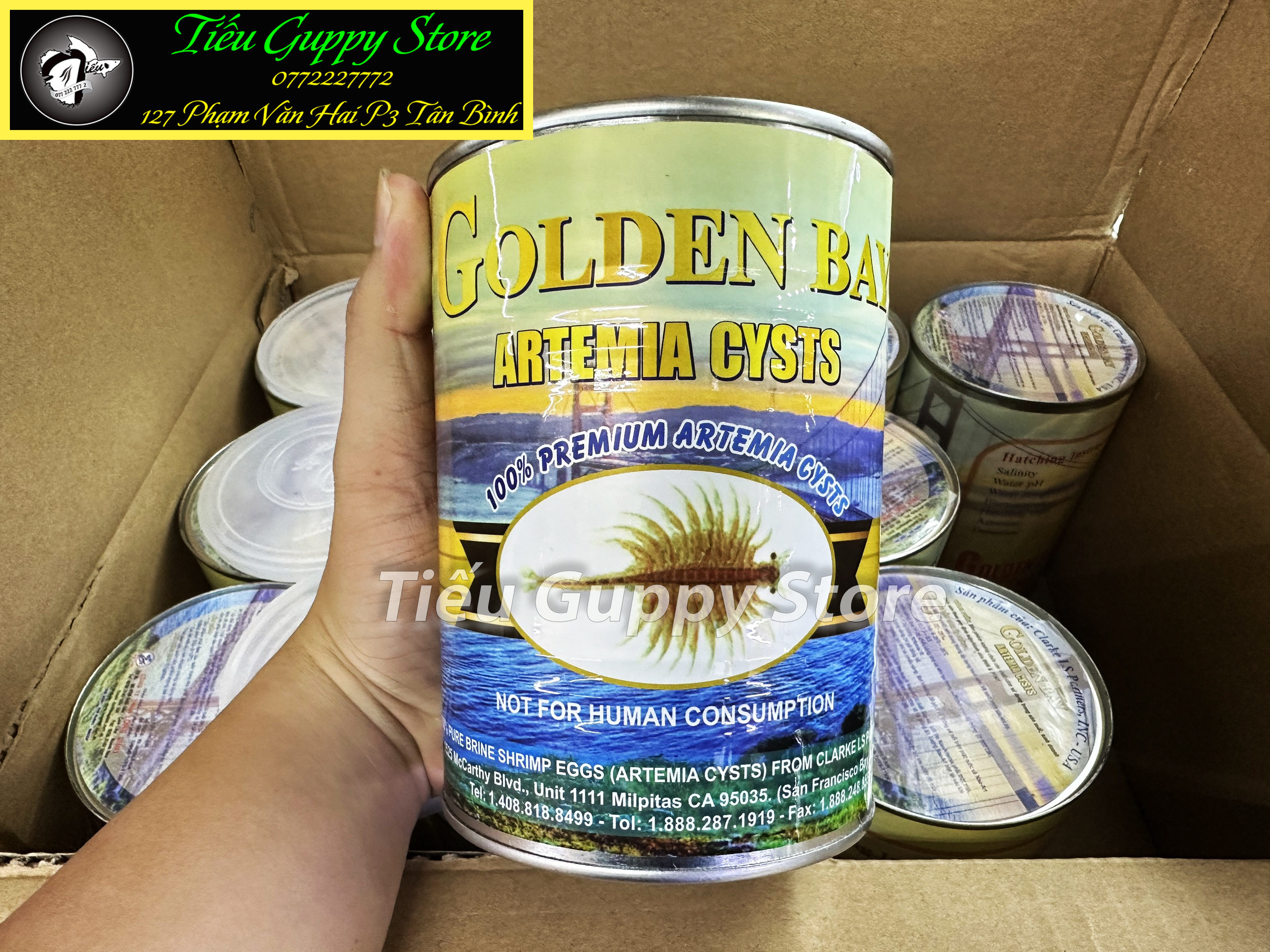 Artemia Golden Bay (lon 425gr) - Trứng Artemia Mỹ Chất Lượng nở Cao, Thời gian thu hoạch nhanh chóng 24h