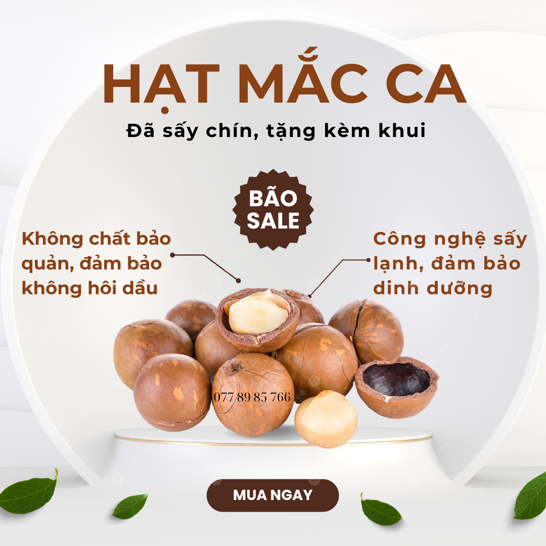 500gr hạt mắc ca to đều loại 1 (đã sấy chín, tặng kèm khui), đảm bảo không hôi dầu, hàng mới sấy