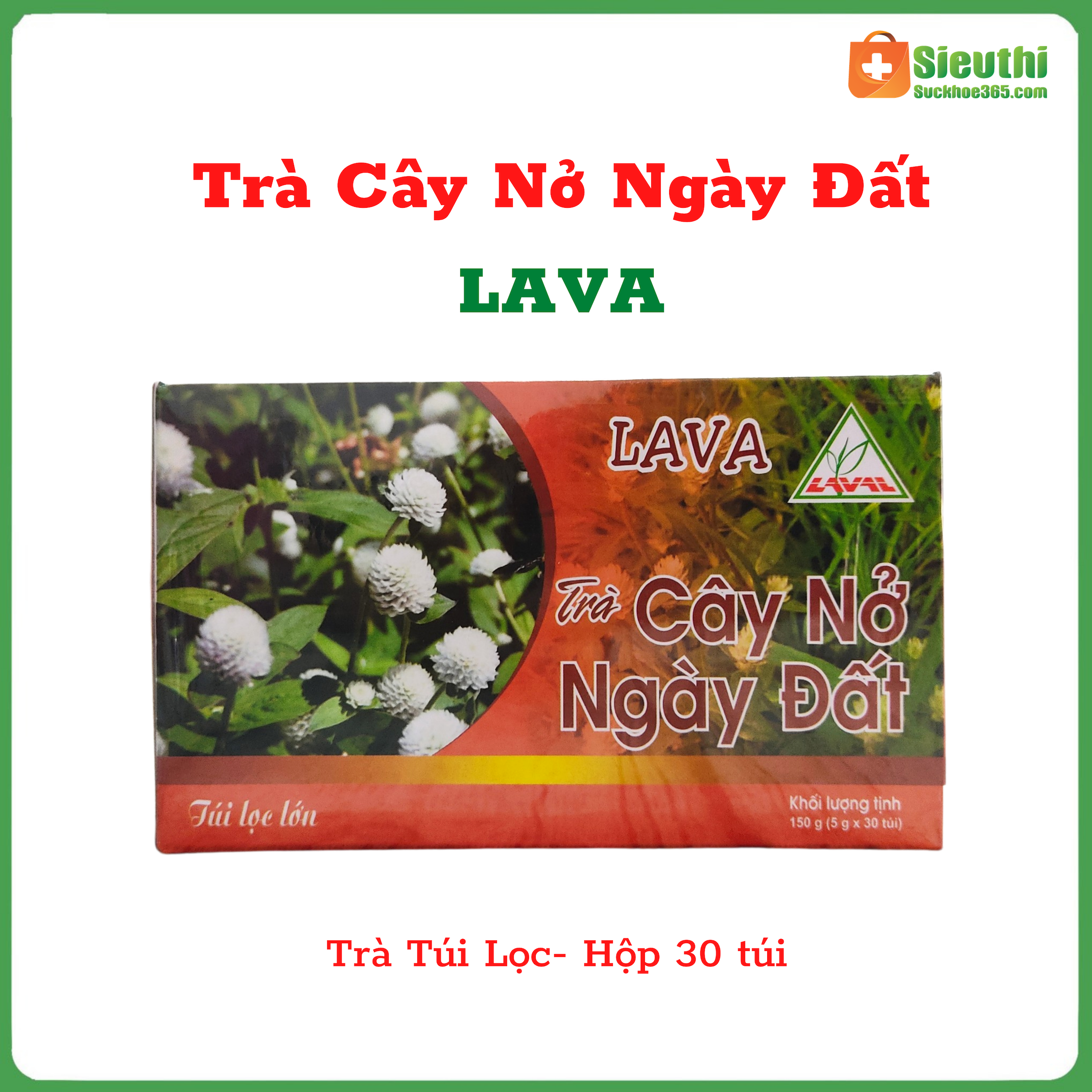[HCM]TRÀ CÂY NỞ NGÀY ĐẤT LAVA- HỖ TRỢ NGƯỜI BỆNH GOUT Siêu Thị Sức Khoẻ 365