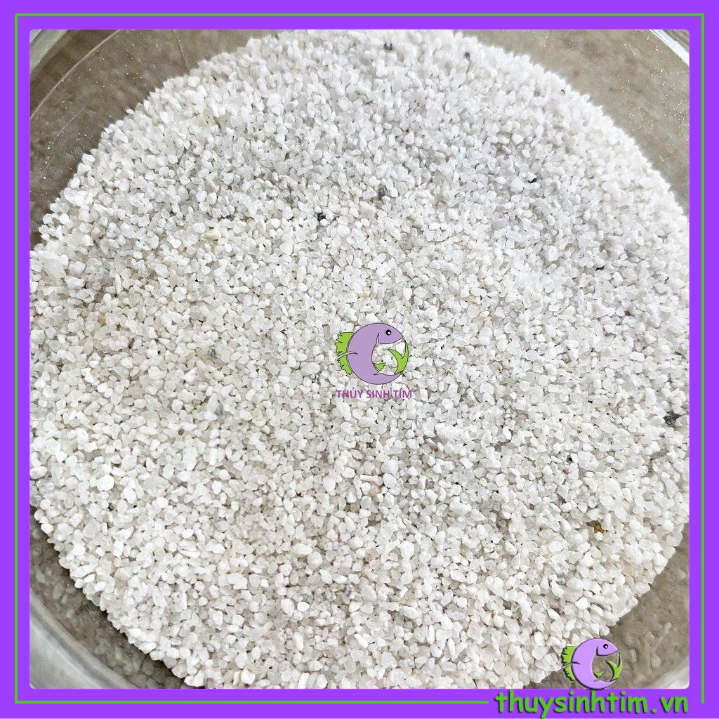 Cát Trắng Thô 1kg - Trải Nền Trang Trí Bể Cá, Bể Thủy Sinh