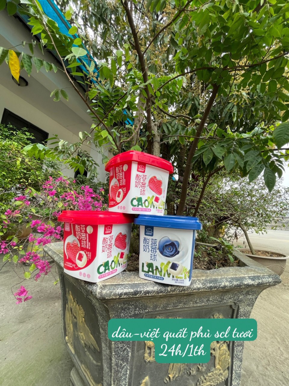 Kẹo socola tươi nhân trái cây 220g dạng xô