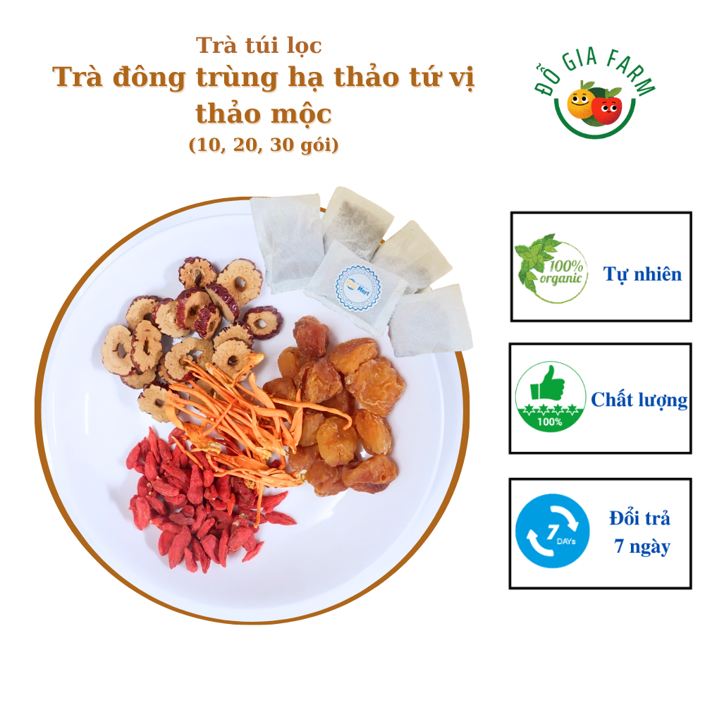Trà túi lọc đông trùng hạ thảo 4 vị thảo mộc (nấm đông trùng, táo thái lát, kỳ tử, long nhãn) - set 10 gói, 20 gói, 30 gói