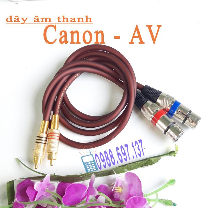 2 dây kết nối âm thanh Canon CÁI ra AV hoasen