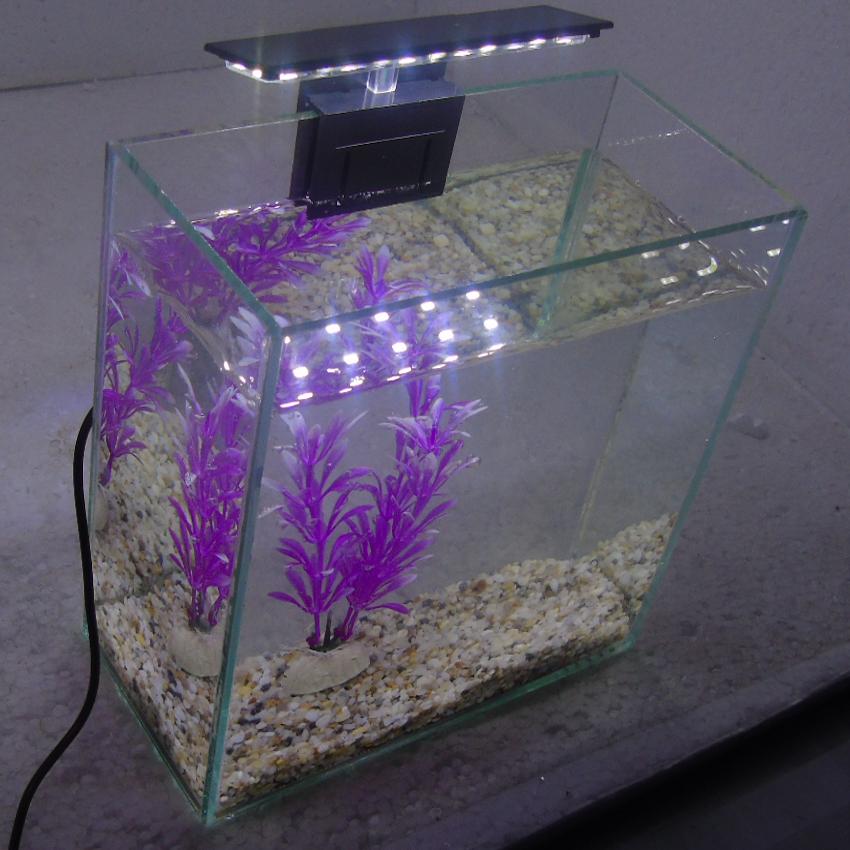 Bể cá mini để bàn 20x10x20 + Đèn Led