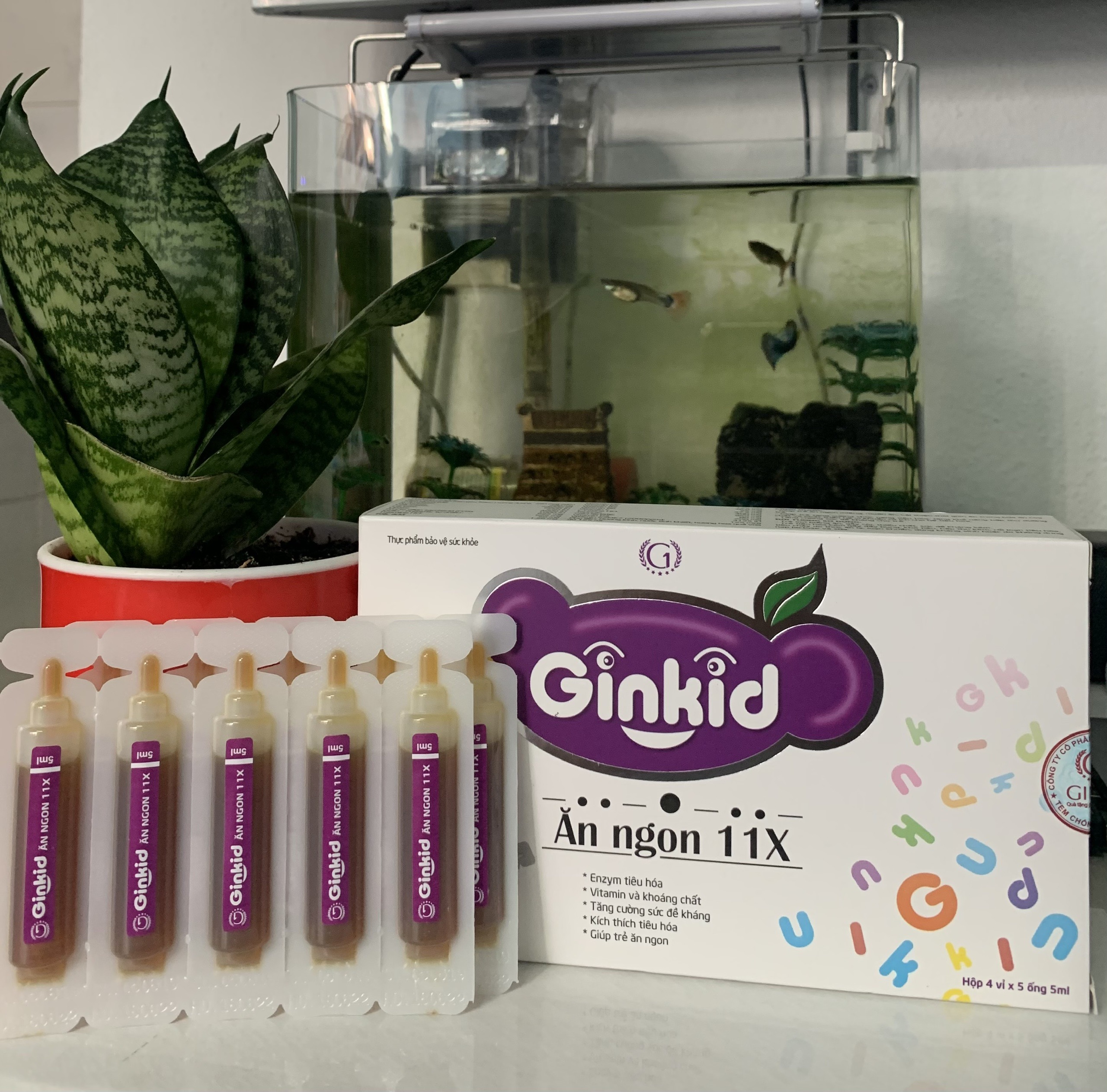 Ginkid Ăn ngon 11X cải thiện chức năng tiêu hóa cho trẻ hết biếng ăn hộp 20 ống