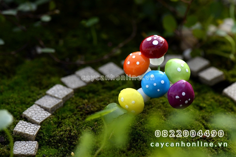 5 cây nấm nhỏ trang trí tiểu cảnh cây cảnh phụ kiện tiểu cảnh trang trí