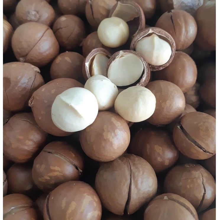 1 kg- hạt macca nứt vỏ